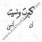 كبرتُ ونسيت أن أنسى