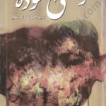 فوضى العودة